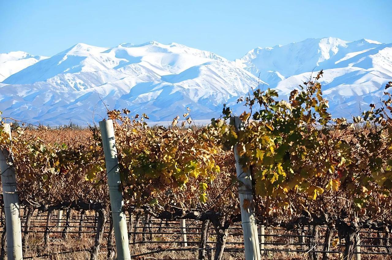Superior Nevado Penthouse * San Rafael (Mendoza)